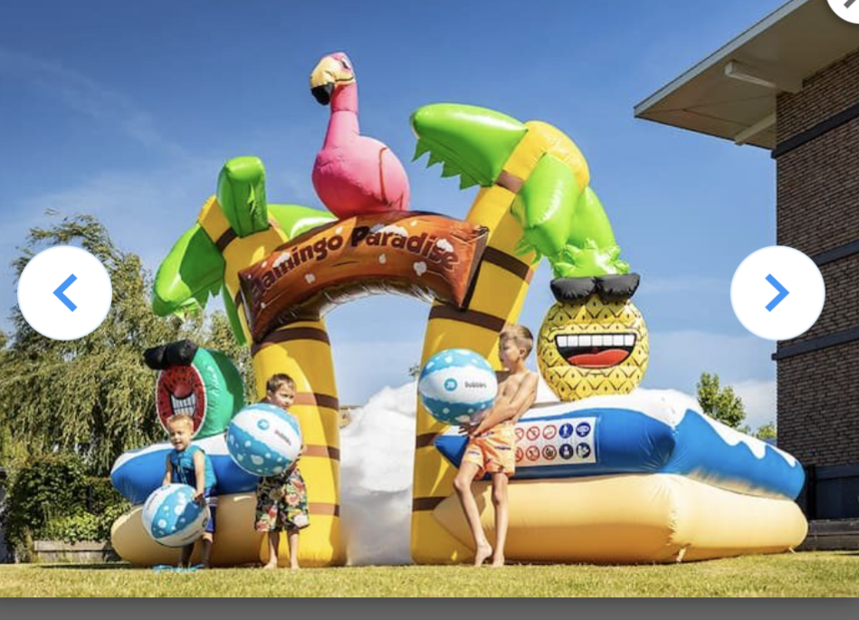Summer inflatable with flamingo theme